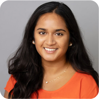 Roshni Puli